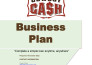 write a professional business plan for investors or loans